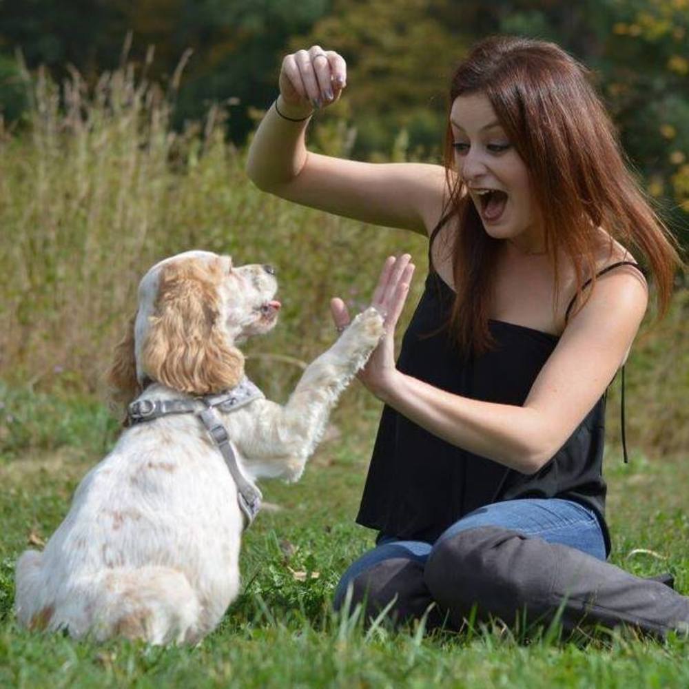 Meet your Posher, Sonya *POSH AMBASSADOR*